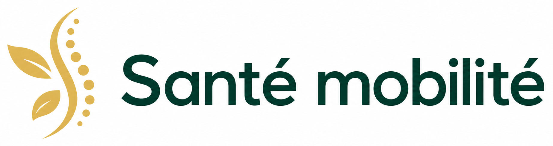 Santé mobilité